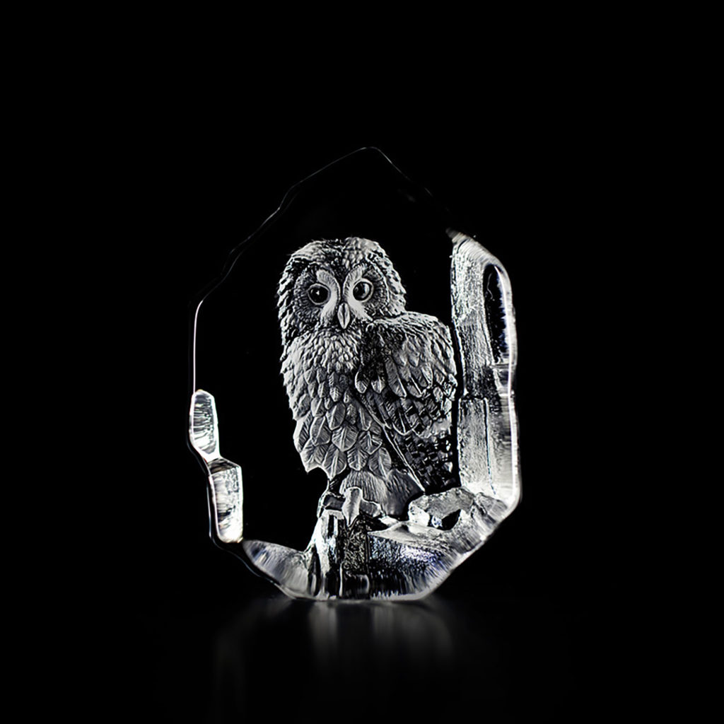33602 Tawnyowl 1024x1024