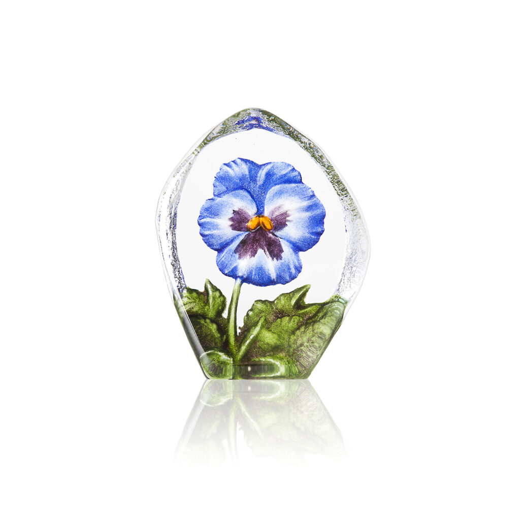 34216 Pansy Blue 1024x1024