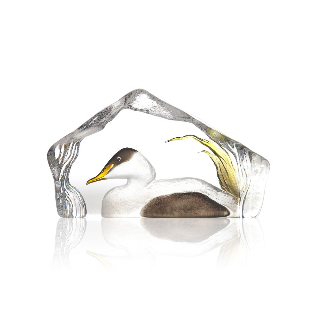 34270 Eider Duck 1024x1024