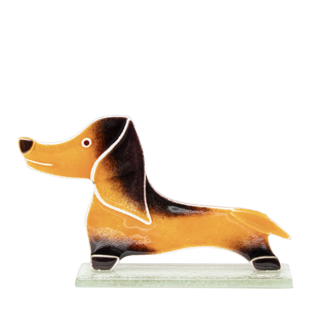 Douglas Dachshund 1024x1024