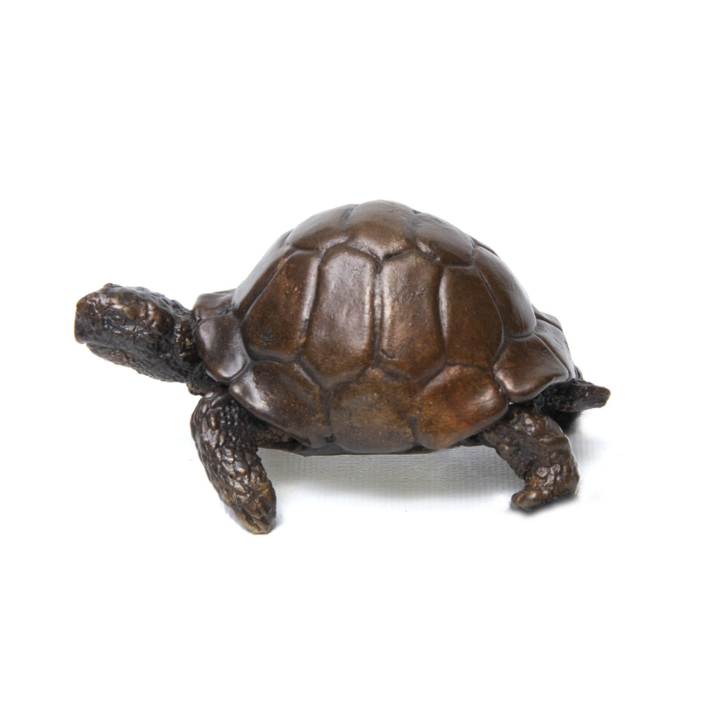 Tortoise1 1024x1024