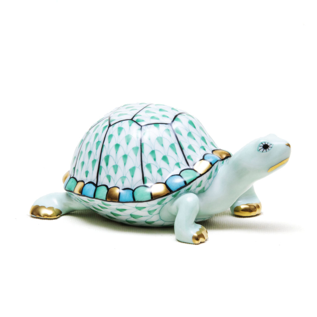 Blue Green Tortoise 1024x1024