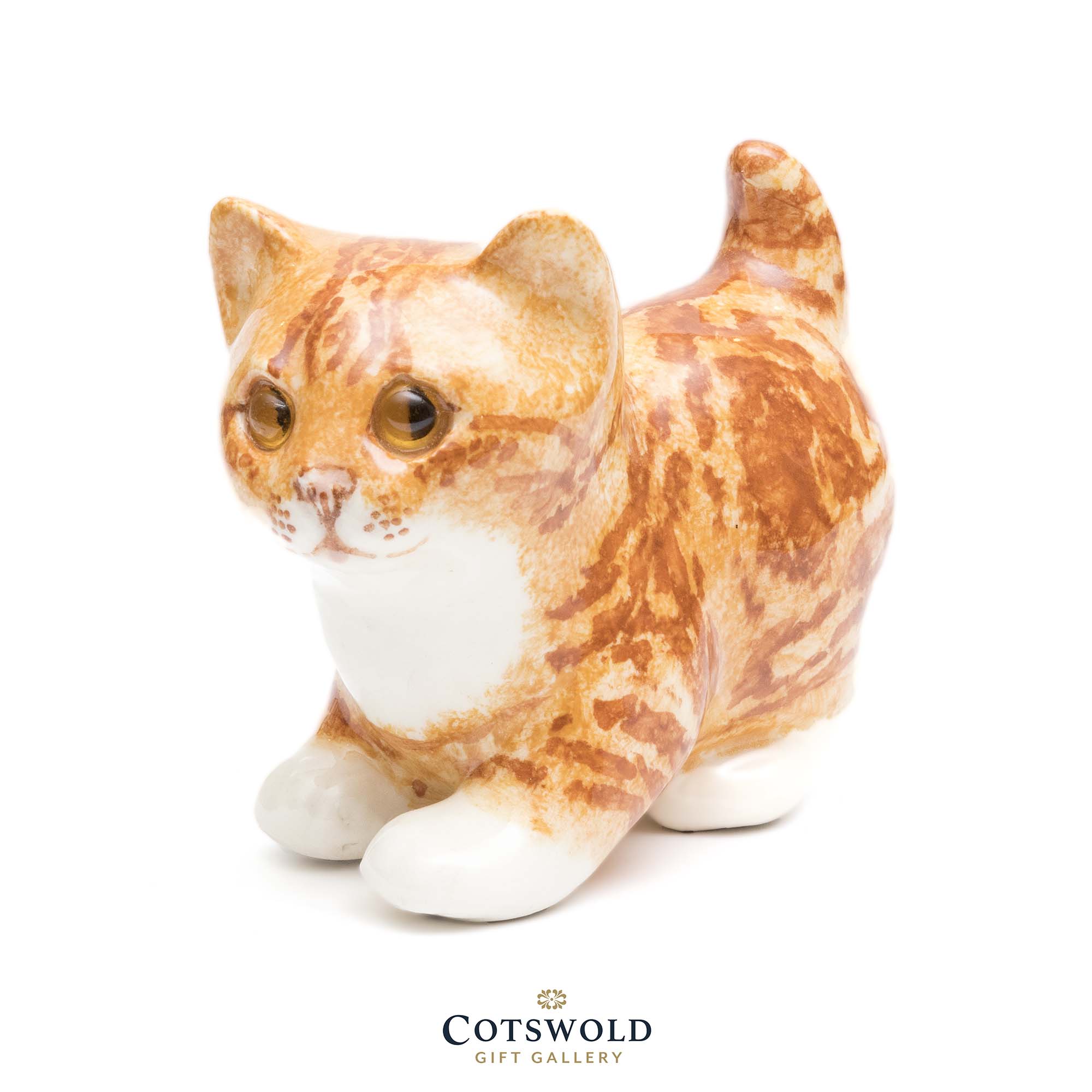 ginger cat urn