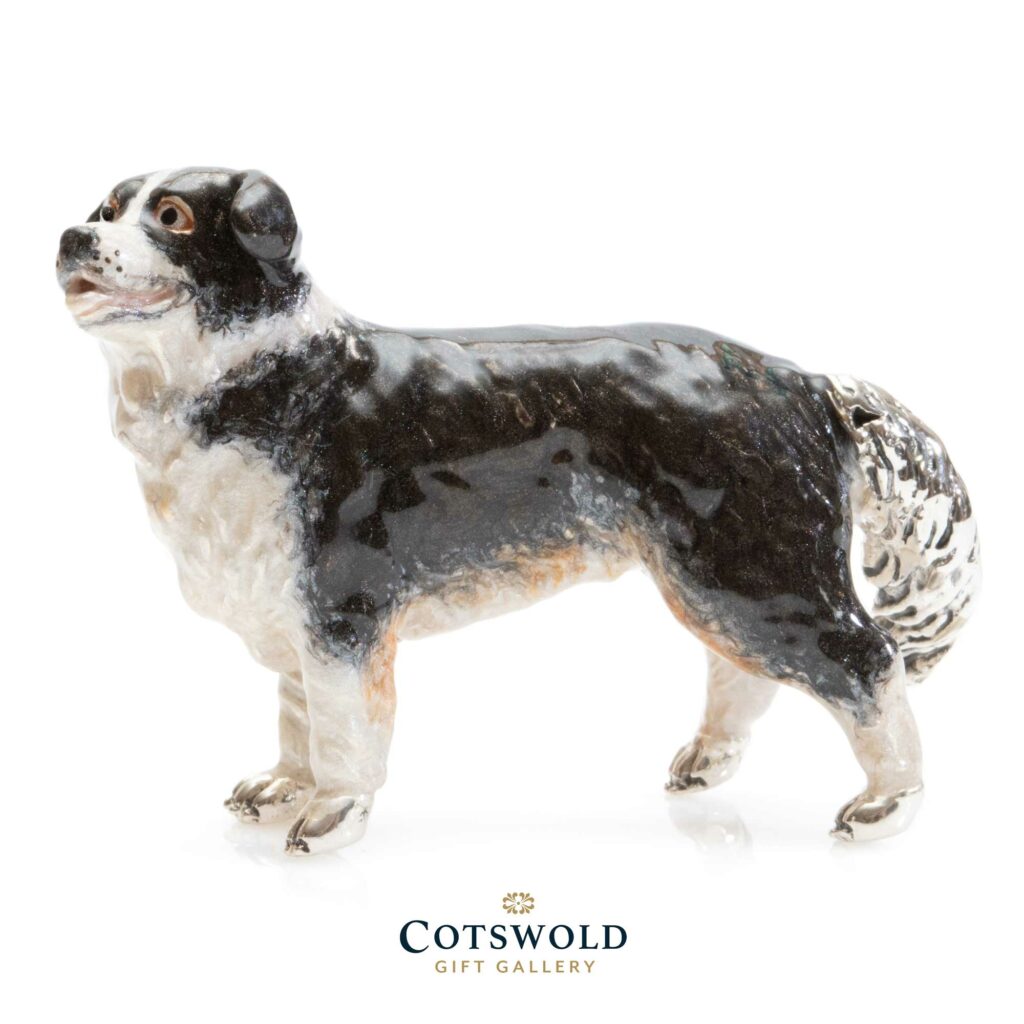 Saturno Silver Border Collie Large 13605L 2 1024x1024