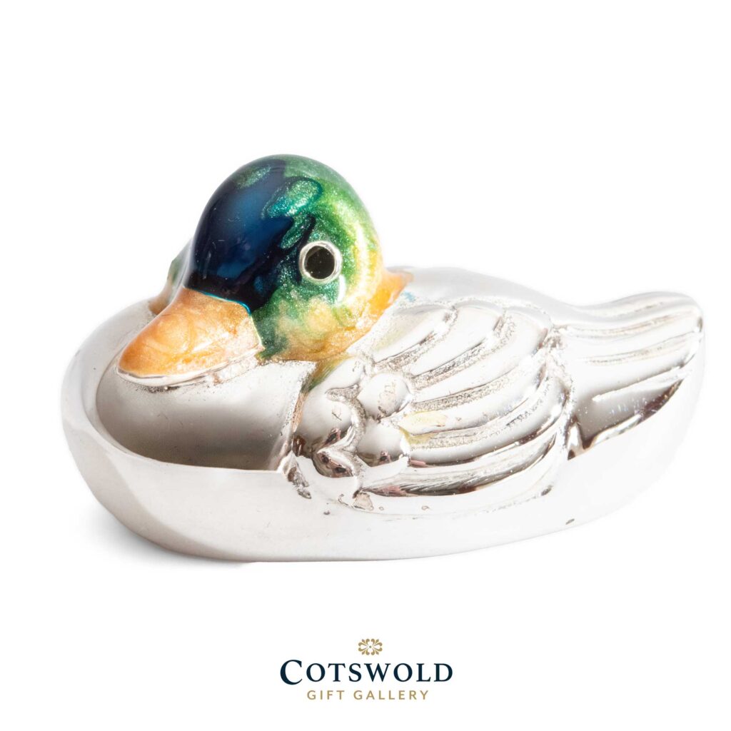 Small Floating Duck 9164s 01 1024x1024